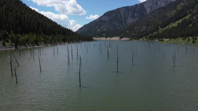 Earthquake Lake Montana