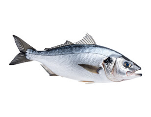 Obraz premium Realistic photo of a fish floating in the air, PNG
