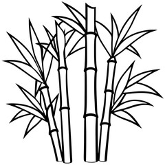 Black and White Bamboo Line Drawing Vector
