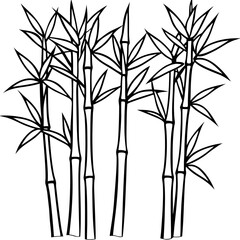 Obraz premium Black and White Bamboo Line Drawing Vector