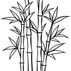 Black and White Bamboo Line Drawing Vector