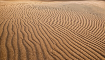 horizontal sand texture for pattern and background