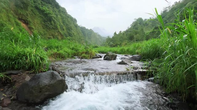Serene River Valley: A tranquil river gracefully meanders through a lush green valley, under the soft glow of natural sunlight, evoking a sense of peace and untouched natural beauty.