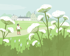 A boy examines a dangerous hogweed. The spread of hogweed has disrupted the ecological balance and has become a serious problem for people. Flat vector illustration.
