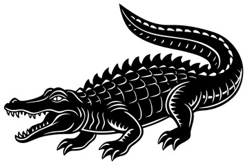 crocodile isolated on white