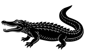 crocodile on white background