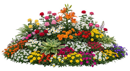 colorful flowers on white background