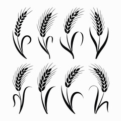 Eight wheat stalks black silhouettes set