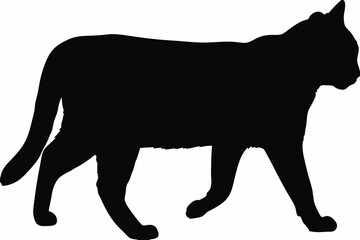 Cat Walking Silhouette