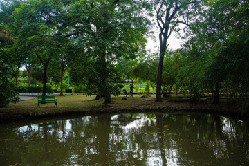 Green city park river swamp tropical forest green tree background public park