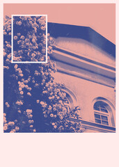 Photo of a house with blooming roses in poster style. Poster. House with flowers. Postcard