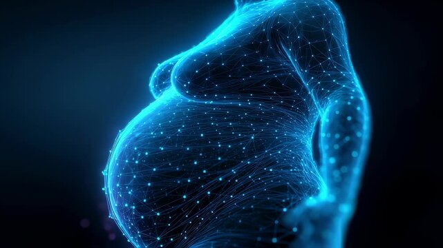Medical visualization of a pregnant woman's abdomen, highlighting fat metabolism and hormonal changes during pregnancy, providing insights into prenatal care and fetal development