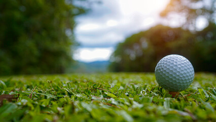 Golf ball on green grass in the evening golf course with sunshine background.
