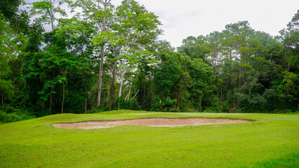 Green grass and woods on a golf field. Green grass and woods on a golf field.