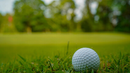 Golf ball on green grass in the evening golf course with sunshine background.
