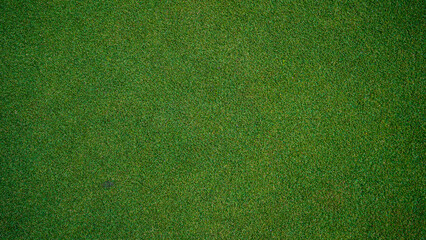 Green grass background, top view background of garden bright grass concept used for making green...