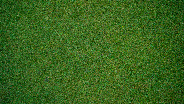 Green grass background, top view background of garden bright grass concept used for making green backdrop