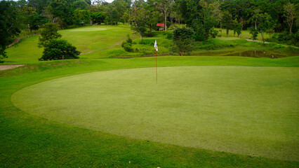 Green grass and woods on a golf field. Green grass and woods on a golf field.