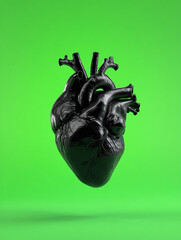 Black 3d anatomical heart on green background