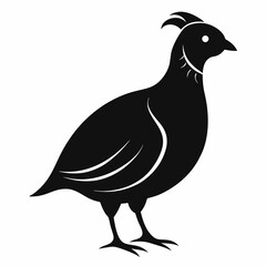 Modern Quail Silhouette Artwork