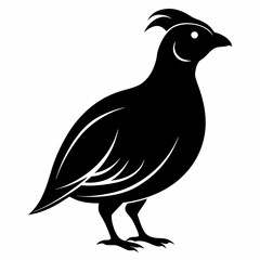 Modern Quail Silhouette Artwork