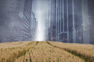 Cityscape projection over yellow fields