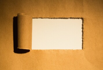 Directly above shot of torn brown paper