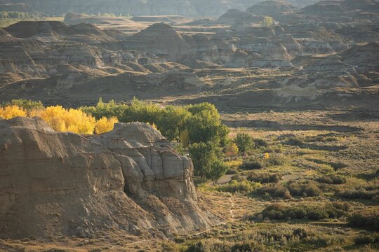 Fototapeta Lush landscape with rocky mountain on a sunny day