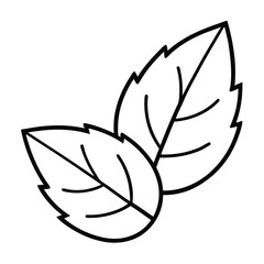 Two Leaves Vector Illustration