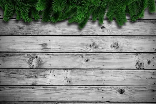Fototapeta Fir branches on wooden planks