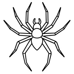 Modern Wolf Spider Outline Graphic
