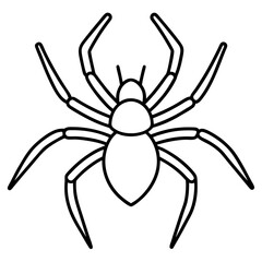Modern Wolf Spider Outline Graphic