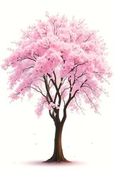 Obraz premium Stunning Pink Cherry Blossom Tree Illustration