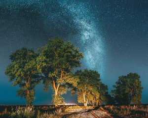 Milky Way Galaxy In Night Starry Sky Above Tree In Summer Forest. Glowing Stars Above Landscape. Panorama