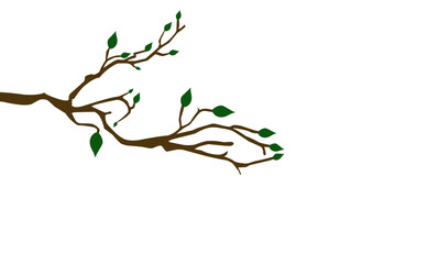 tree with roots