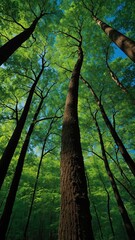 Obraz premium A worm's-eye view captures towering green-leafed trees reaching towards a bright blue sky, celebrating National Wildlife Day.