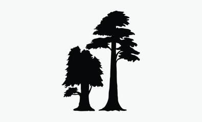 black and white redwood tree line art silhouette, vector illustration on white background
