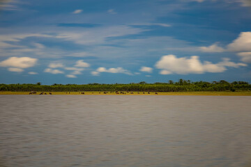A peaceful rural scene in the dam featuring a yellow meadow and green mountain with blue sky, Chachoengsao, Thailand.