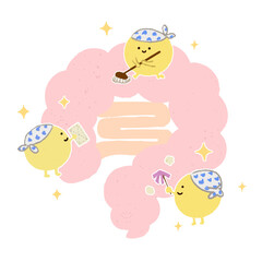 腸をきれいにする善玉菌たち