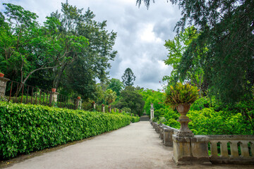 Landscape of a diverse flora and vegetation in the garden, city botanical park in Coimbra, Portugal