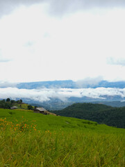 Rice terraces in Mae Chaem, Chiang Mai, Thailand is serene view of green fields fresh air flowing streams and misty skies. Vertical photo Shoot by smart phone