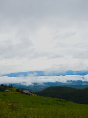Rice terraces in Mae Chaem, Chiang Mai, Thailand is serene view of green fields fresh air flowing streams and misty skies. Vertical photo Shoot by smart phone