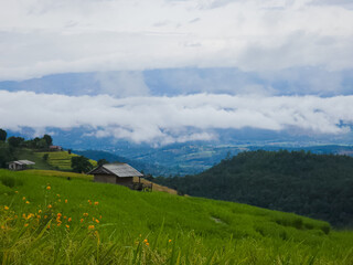 Rice terraces in Mae Chaem, Chiang Mai, Thailand is serene view of green fields fresh air flowing streams and misty skies. Shot by smart phone