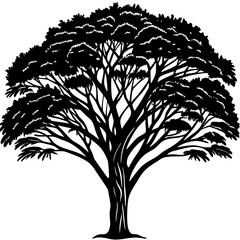 tree silhouette vector