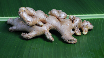 Fresh Ginger Root on Banana Leaf: Aromatic ginger root, known for its culinary and medicinal uses,...