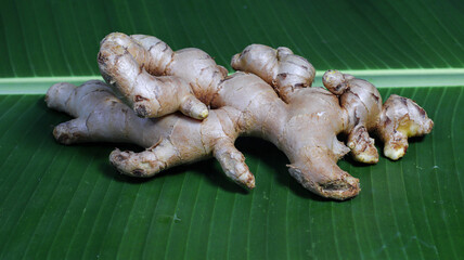 Ginger Root Fresh and Organic: A close-up shot of fresh, organic ginger root, delicately arranged on a vibrant green leaf, showcasing its natural texture and earthy tones.
