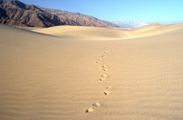 Footsteps in the Death Valley desert.