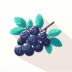 A cluster of glossy blue blueberries attached to a dark purple twig adorned with green leaves