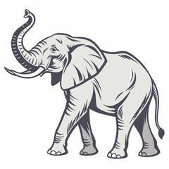 Fototapeta premium White back ground a silver colour full body elephant.