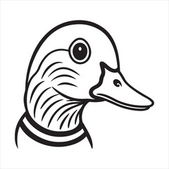 Exotic Mandarin Duck – Vibrant Waterfowl from East Asia's Lakes and Rivers